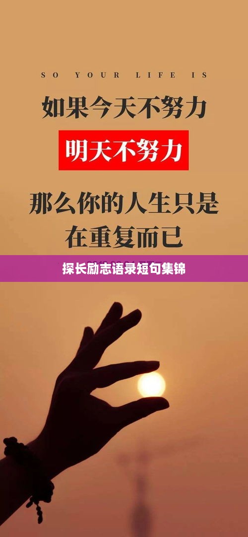 联系我们 第7页
