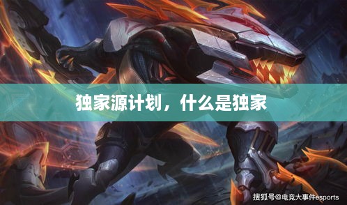 独家源计划，什么是独家 