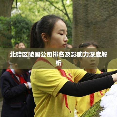 北碚区陵园公司排名及影响力深度解析