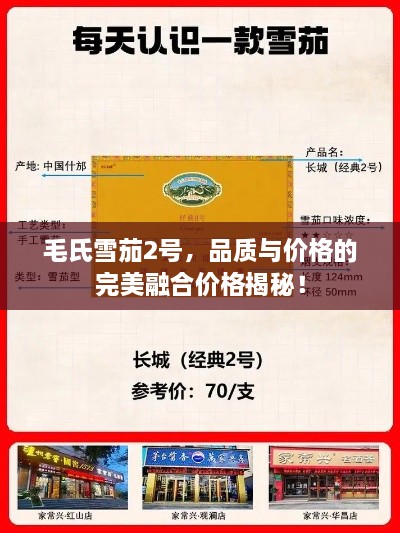 毛氏雪茄2号，品质与价格的完美融合价格揭秘！
