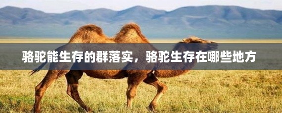 骆驼能生存的群落实，骆驼生存在哪些地方 