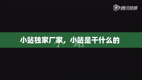 小站独家厂家，小站是干什么的 
