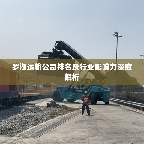 罗湖运输公司排名及行业影响力深度解析