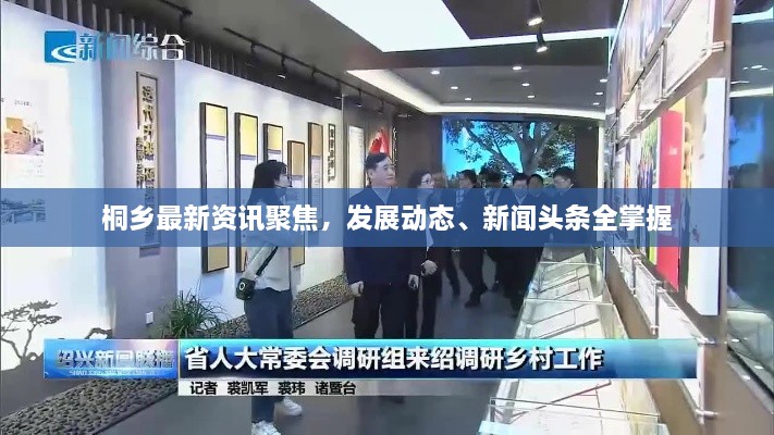 桐乡最新资讯聚焦，发展动态、新闻头条全掌握