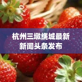 杭州三墩绕城最新新闻头条发布