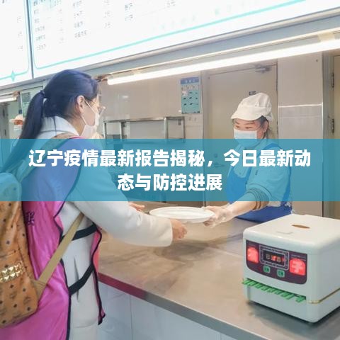 辽宁疫情最新报告揭秘，今日最新动态与防控进展