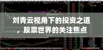 刘青云视角下的投资之道，股票世界的关注焦点