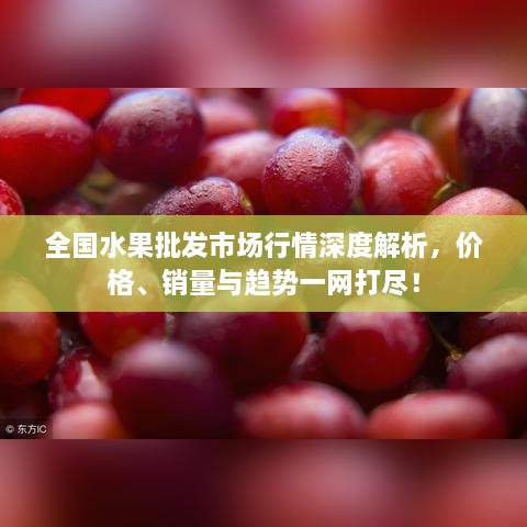 全国水果批发市场行情深度解析，价格、销量与趋势一网打尽！