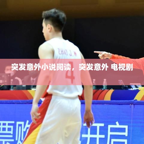 突发意外小说阅读，突发意外 电视剧 