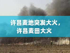 许昌麦地突发大火，许昌麦田大火 