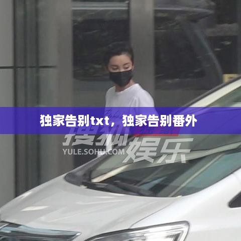 独家告别txt，独家告别番外 