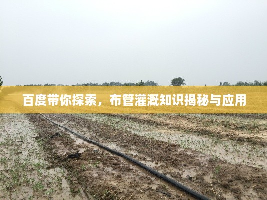 百度带你探索，布管灌溉知识揭秘与应用