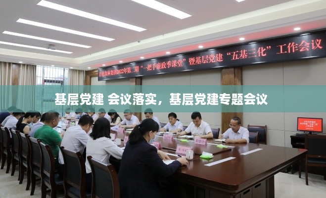 基层党建 会议落实，基层党建专题会议 