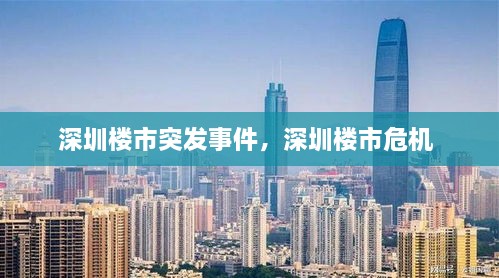 深圳楼市突发事件，深圳楼市危机 