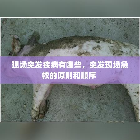 现场突发疾病有哪些，突发现场急救的原则和顺序 