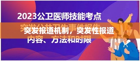 公司简介 第5页