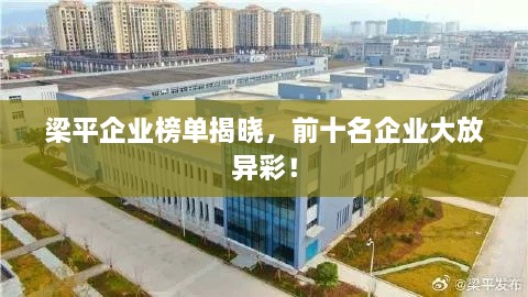 梁平企业榜单揭晓，前十名企业大放异彩！