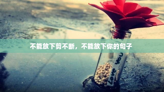 不能放下剪不断，不能放下你的句子 
