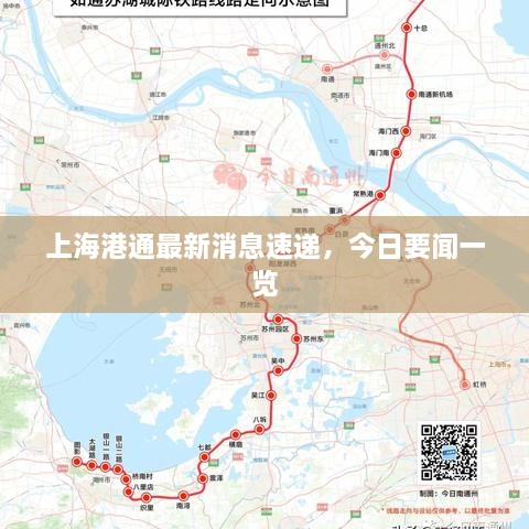 上海港通最新消息速递，今日要闻一览