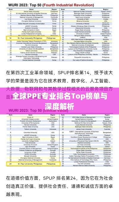 全球PPE专业排名Top榜单与深度解析