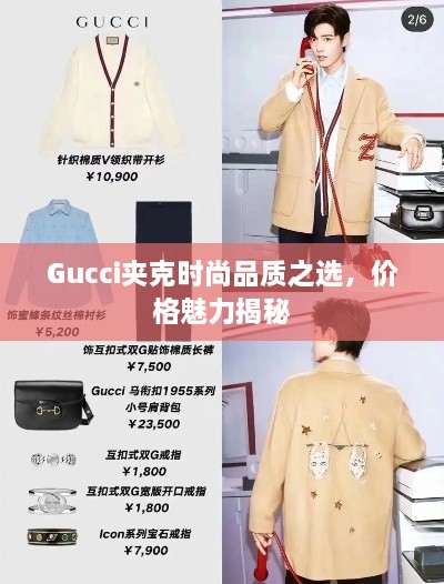 Gucci夹克时尚品质之选，价格魅力揭秘