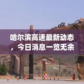 哈尔滨高速最新动态，今日消息一览无余