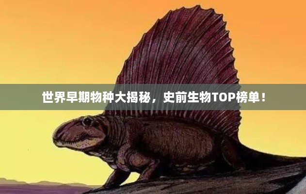 公司简介 第3页