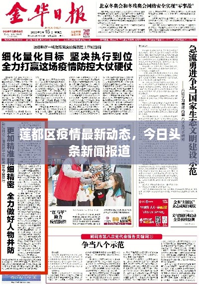 莲都区疫情最新动态，今日头条新闻报道