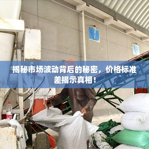 揭秘市场波动背后的秘密，价格标准差揭示真相！