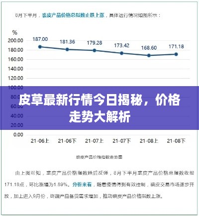 皮草最新行情今日揭秘，价格走势大解析