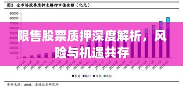限售股票质押深度解析，风险与机遇共存