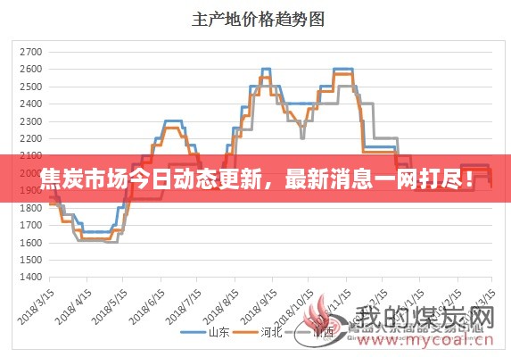 焦炭市场今日动态更新，最新消息一网打尽！