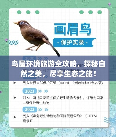 鸟屋环境旅游全攻略，探秘自然之美，尽享生态之旅！