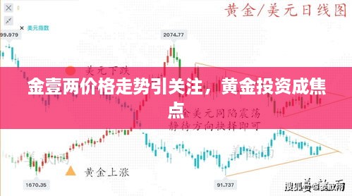 金壹两价格走势引关注，黄金投资成焦点