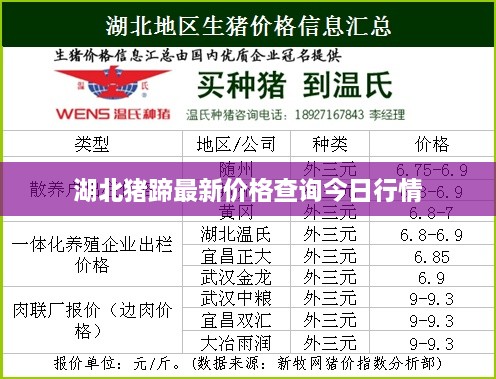湖北猪蹄最新价格查询今日行情