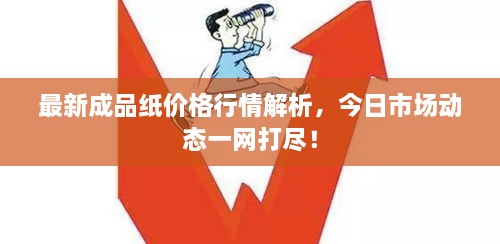 最新成品纸价格行情解析，今日市场动态一网打尽！
