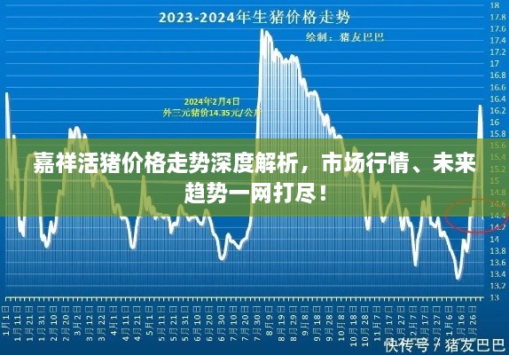 嘉祥活猪价格走势深度解析，市场行情、未来趋势一网打尽！