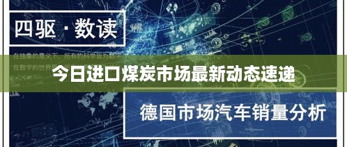 今日进口煤炭市场最新动态速递