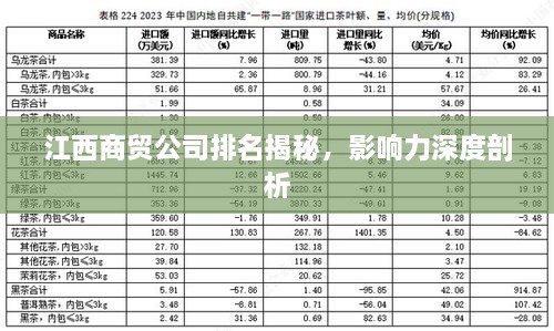 江西商贸公司排名揭秘，影响力深度剖析