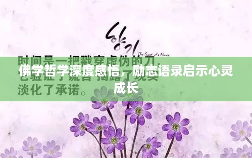 佛学哲学深度感悟，励志语录启示心灵成长