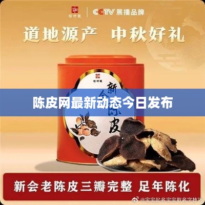 陈皮网最新动态今日发布