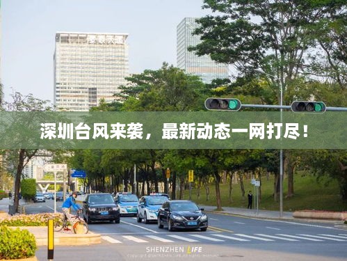 深圳台风来袭，最新动态一网打尽！