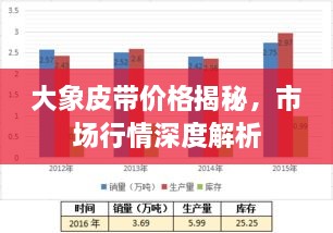 大象皮带价格揭秘，市场行情深度解析