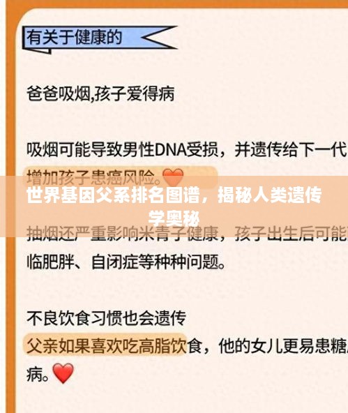 世界基因父系排名图谱，揭秘人类遗传学奥秘
