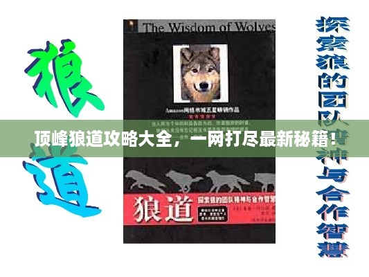 顶峰狼道攻略大全，一网打尽最新秘籍！