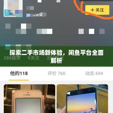 探索二手市场新体验，闲鱼平台全面解析