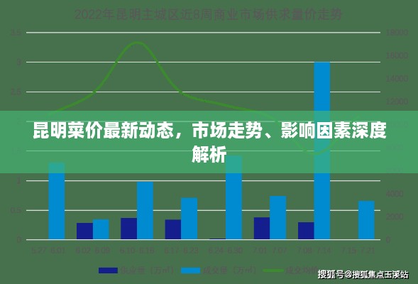 昆明菜价最新动态，市场走势、影响因素深度解析